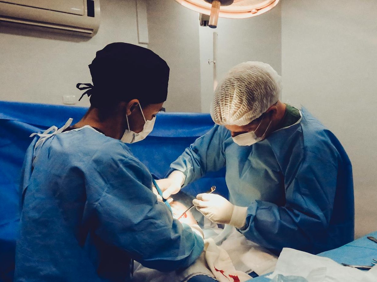New “On-Table Reanimation” Technique Could Boost Infant Heart Transplants by 20%